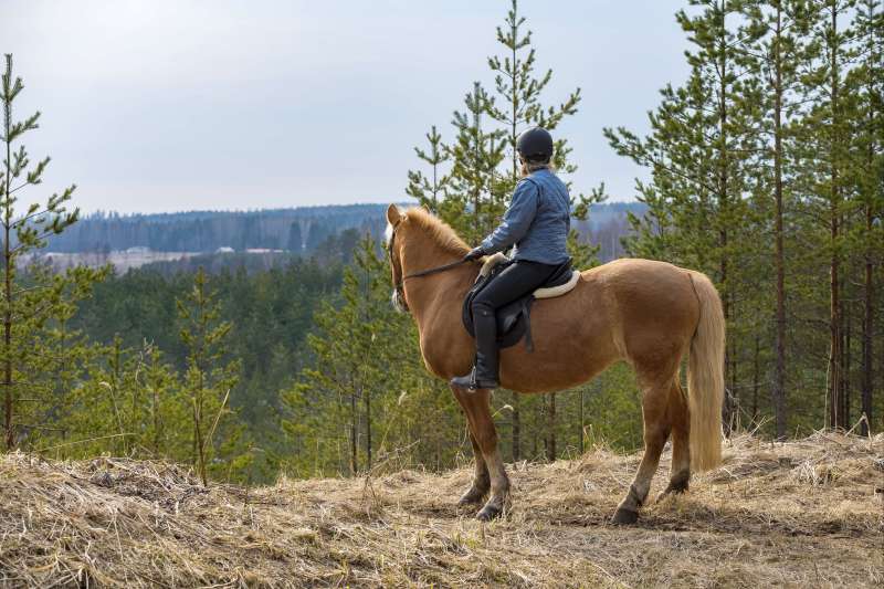 À cheval en Finlande