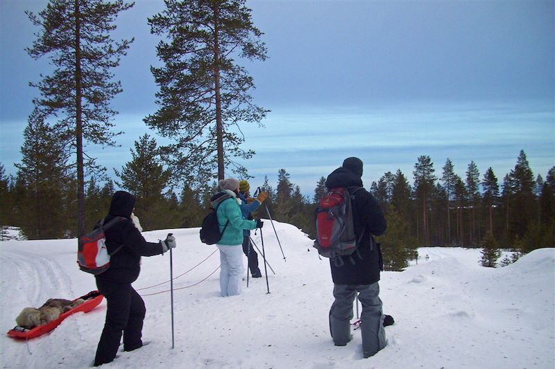 Sur la piste des loups