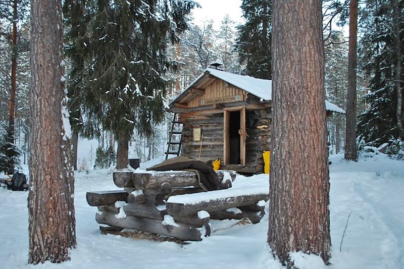 Sur la piste des loups