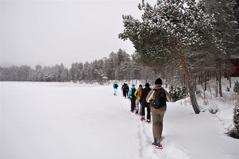 Sur la piste des loups