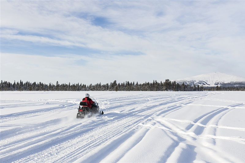 Sur la piste des loups