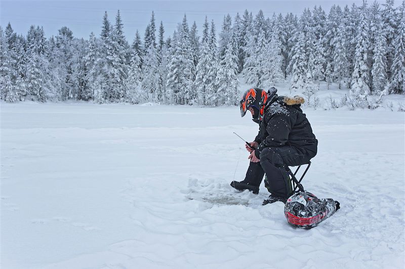 Sur la piste des loups