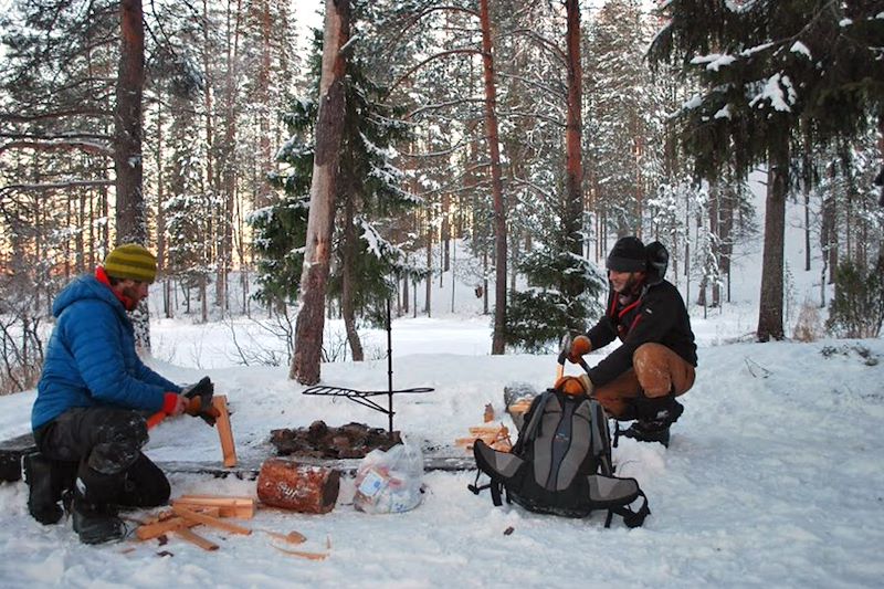 Sur la piste des loups