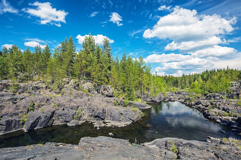 Au cœur de l'été arctique finlandais