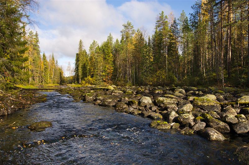 Au cœur de l'été arctique finlandais