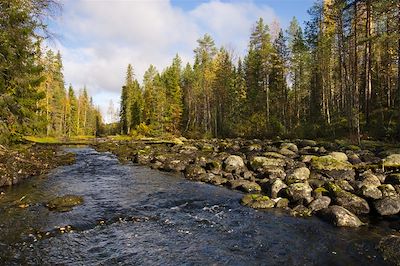 voyage Au cœur de l'été arctique finlandais