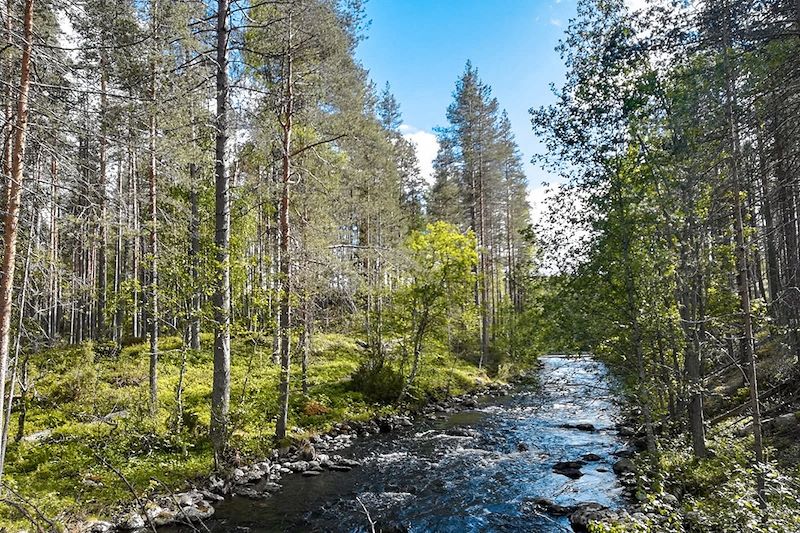 Parc National de Hossa - Laponie - Finlande