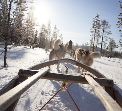Circuits en petit groupe Finlande