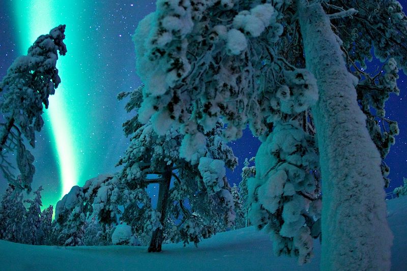 Ski nordique et pulka en Laponie finlandaise