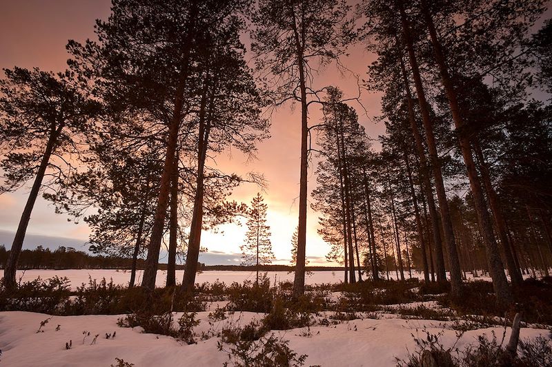 Ski nordique et pulka en Laponie finlandaise