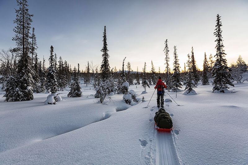 Ski nordique et pulka en Laponie finlandaise