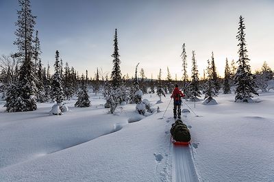 voyage Ski nordique et pulka en Laponie finlandaise