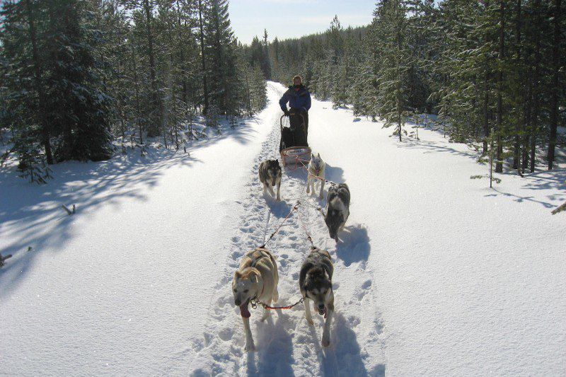 Escapade féerique à la finlandaise!