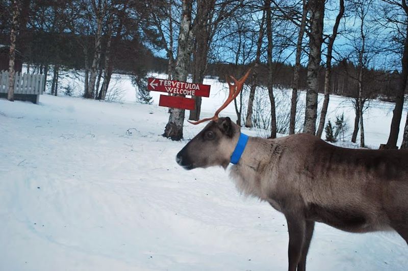 Bienvenue au pays du Père Noël