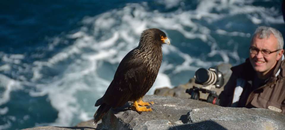 Exploration des îles Falkland, territoire insolite à la faune extraordinaire, avec Rémy Marion (membre de la SEF)