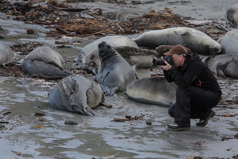 Exploration de la faune des îles Malouines avec Rémy Marion