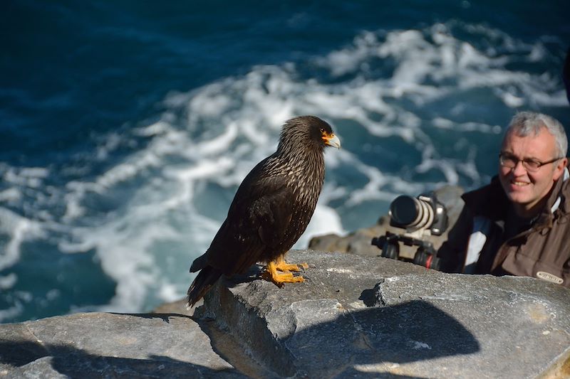 Exploration de la faune des îles Malouines avec Rémy Marion