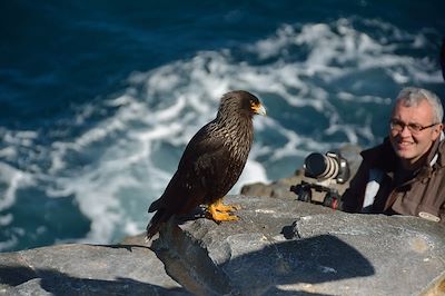 voyage Îles Malouines