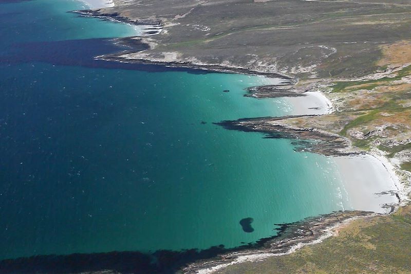 Îles Malouines