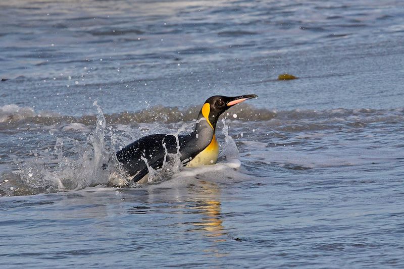 Un été dans les cinquantièmes hurlants