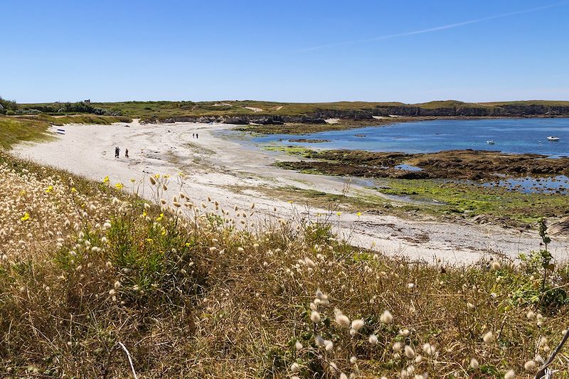 Quiberon - Morbihan - Bretagne - France