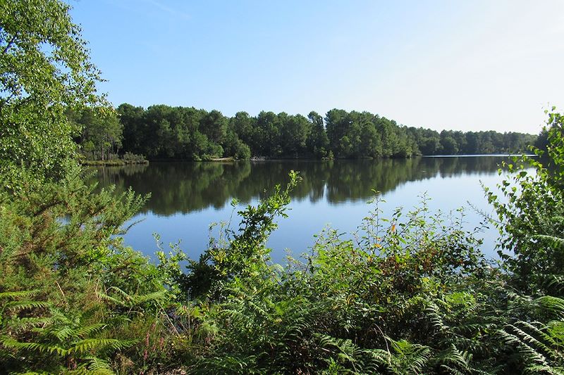 Parc Naturel Régional des Landes de Gascogne - France