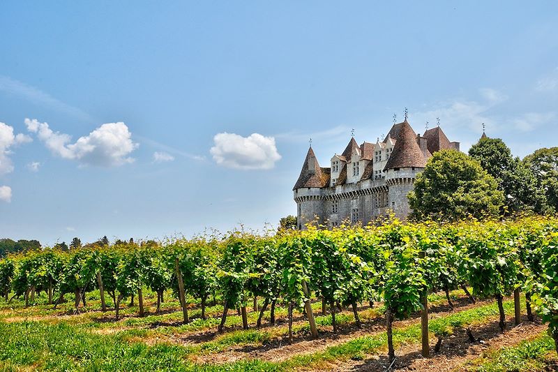 Château et vignoble de Monbazillac - Dordogne- France