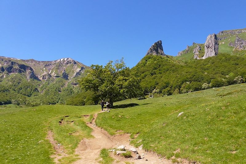 Vallée de Chaudefour - Auvergne - France