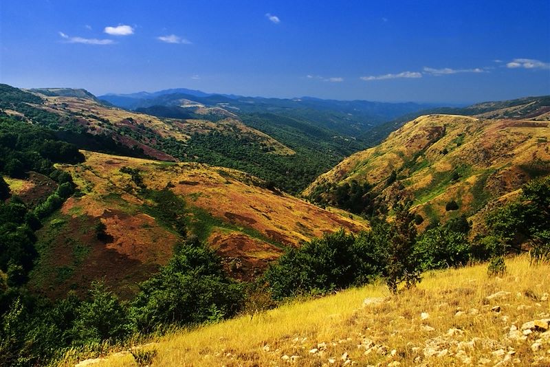 Parc national des Cévennes - France