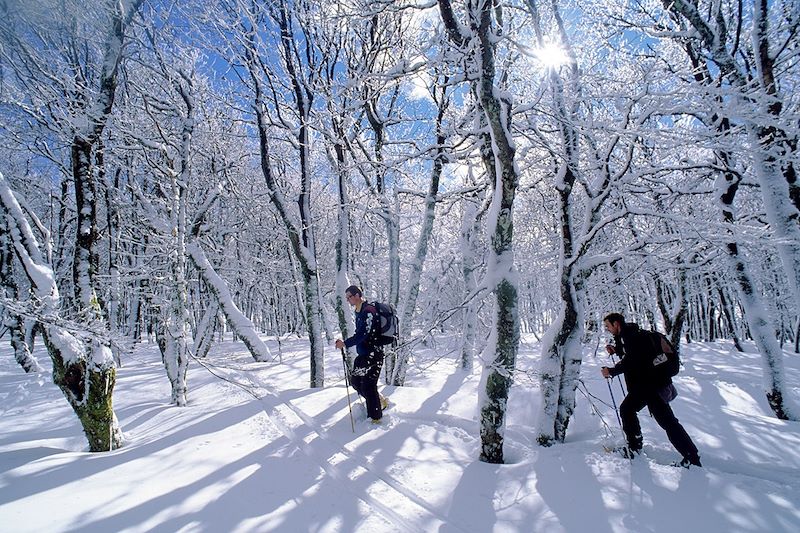 Raquettes dans les Vosges authentiques