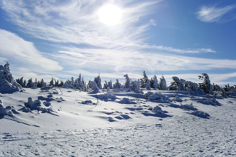 Autour de l'Etang du Devin - Vosges - France