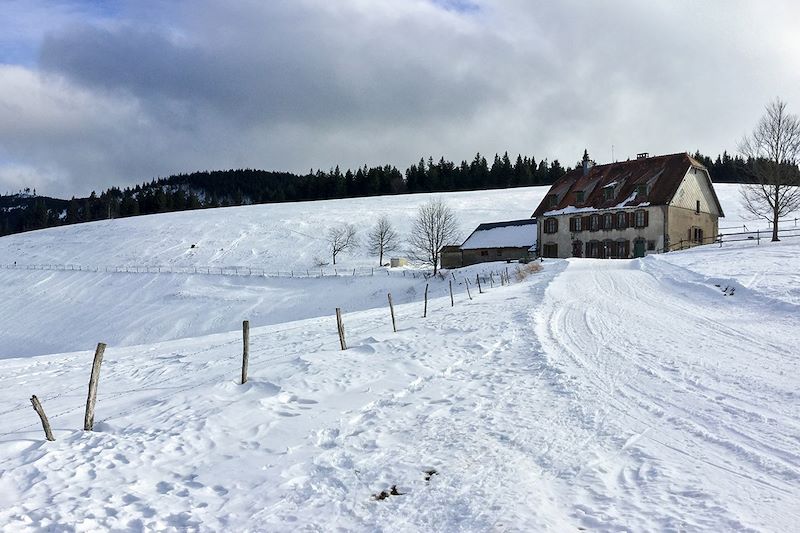 Ferme avec vue sur le Brézouard - Vosges - France