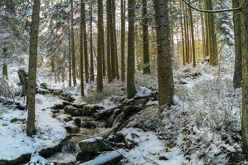 Le Surcenord - Orbey - Vosges - France