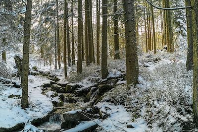 Raquettes dans les Vosges authentiques 3
