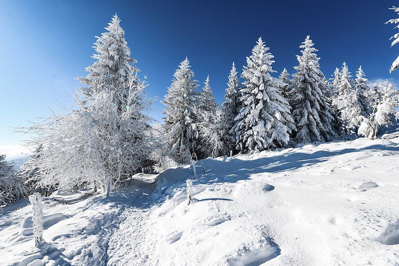 Raquettes dans les Vosges authentiques