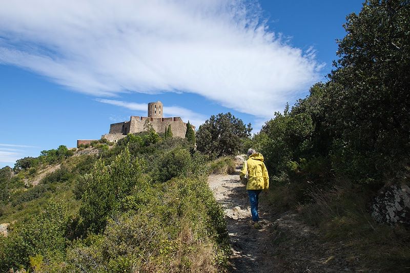 Vers le Fort Saint-Elme à Collioure - Pyrénées-Orientales - France