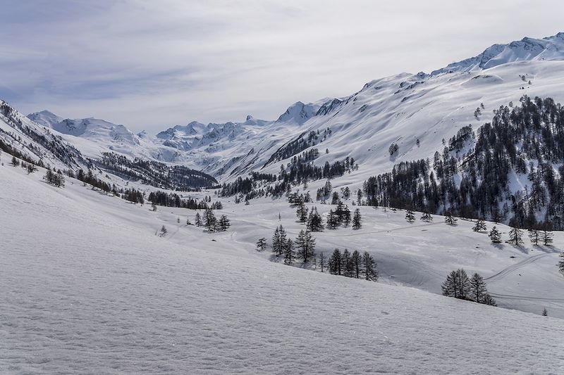 Raquettes et sauna en Ubaye