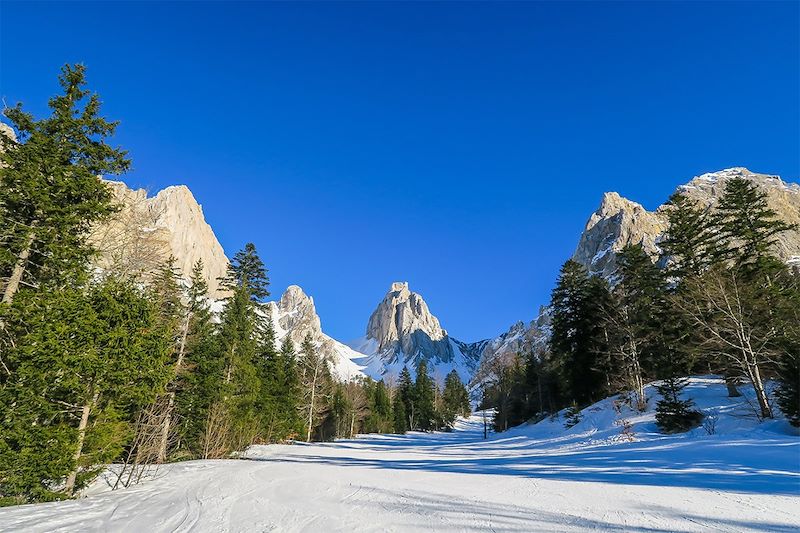 Vallon de la La Jarjatte - Drôme - France