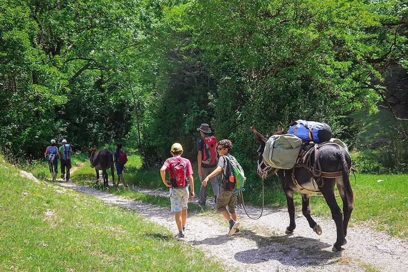 Les sources de la Drôme au rythme des ânes !