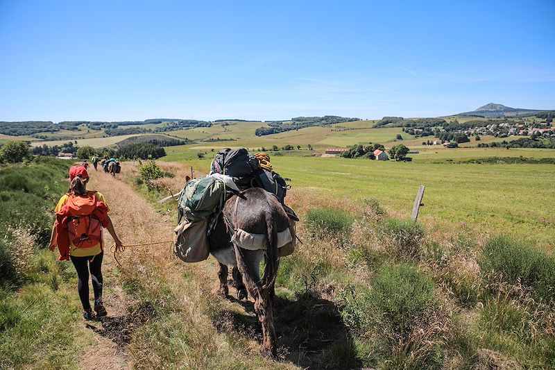 Vagabond'ânes sur les Monts d'Ardèche