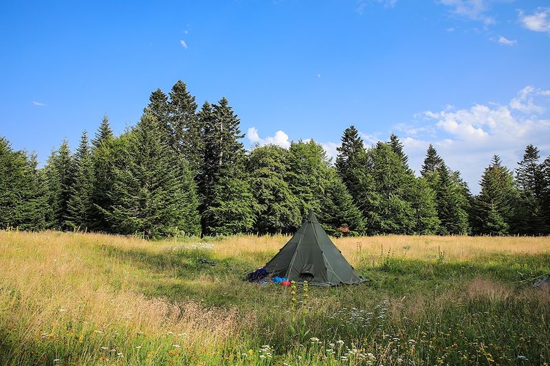 Vagabond'ânes sur les Monts d'Ardèche