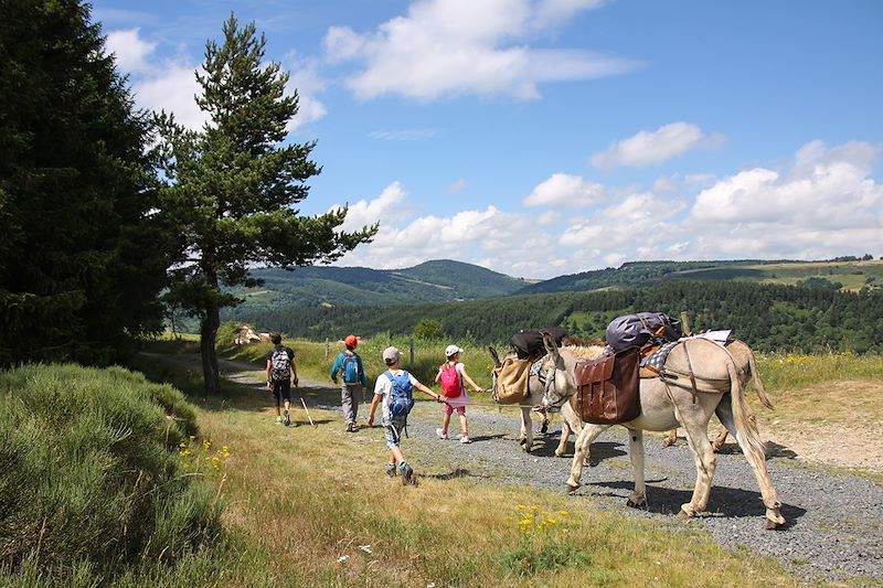 Vagabond'ânes sur les Monts d'Ardèche