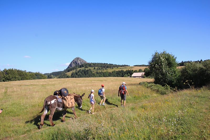 Vagabond'ânes sur les Monts d'Ardèche