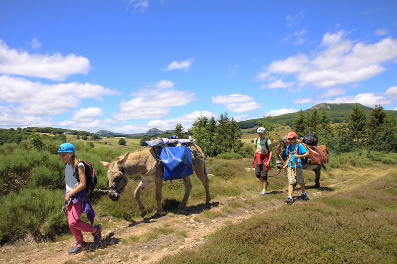 Vagabond'ânes sur les Monts d'Ardèche