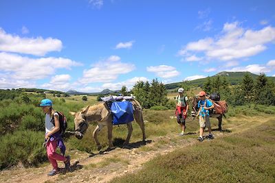 voyage Vagabond'ânes sur les Monts d'Ardèche