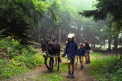 Vagabond'ânes sur les Monts d'Ardèche 4