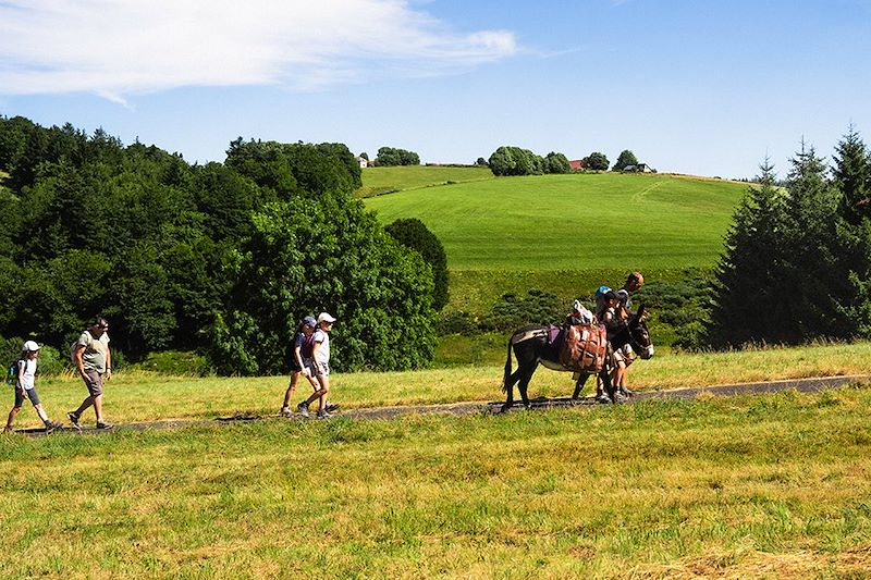 Randonnée avec les ânes - Ardèche - France