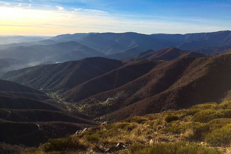 Des Cévennes et des ânes