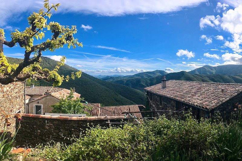 Des Cévennes et des ânes