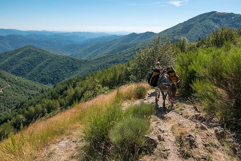 Des Cévennes et des ânes